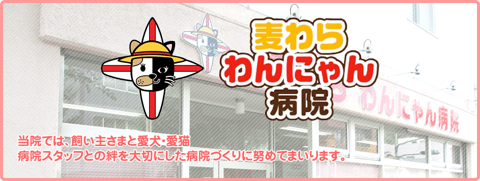 当院では、飼い主さまと愛犬・愛猫、病院スタッフとの絆を大切にした病院づくりに努めてまいります。